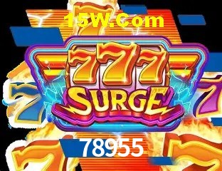 Login Seguro 78955