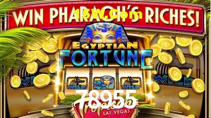 Provedores de Jogos 78955